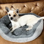 Caminha Pet Nuvem – Ninho Quentinho para Pets