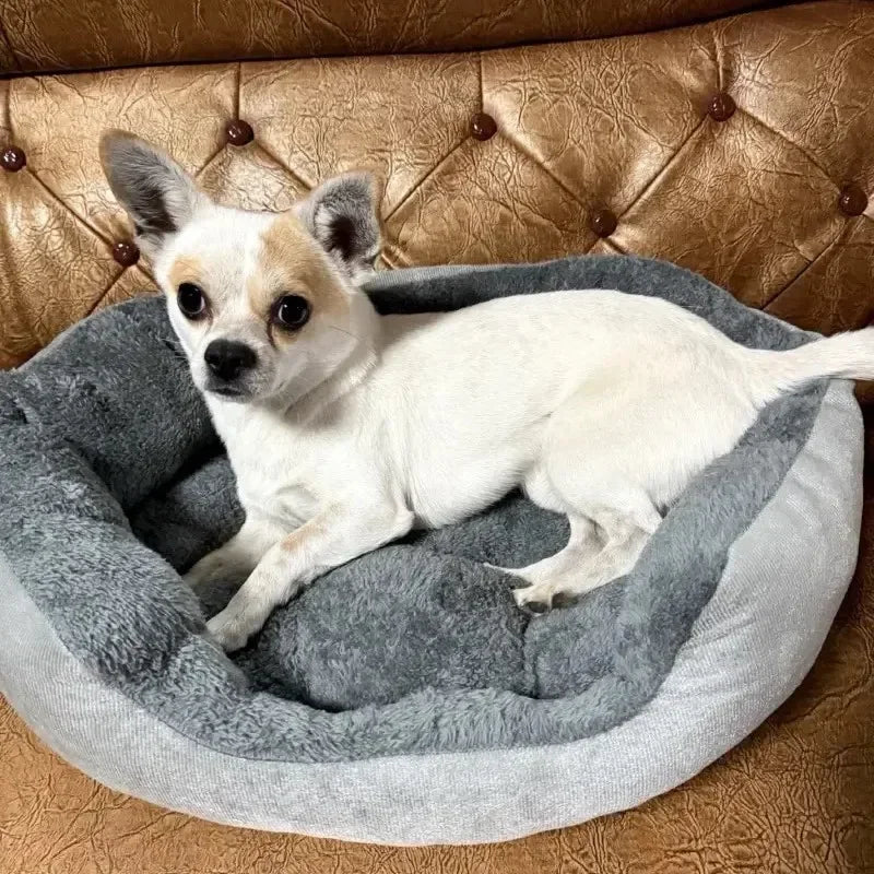 Caminha Pet Nuvem – Ninho Quentinho para Pets