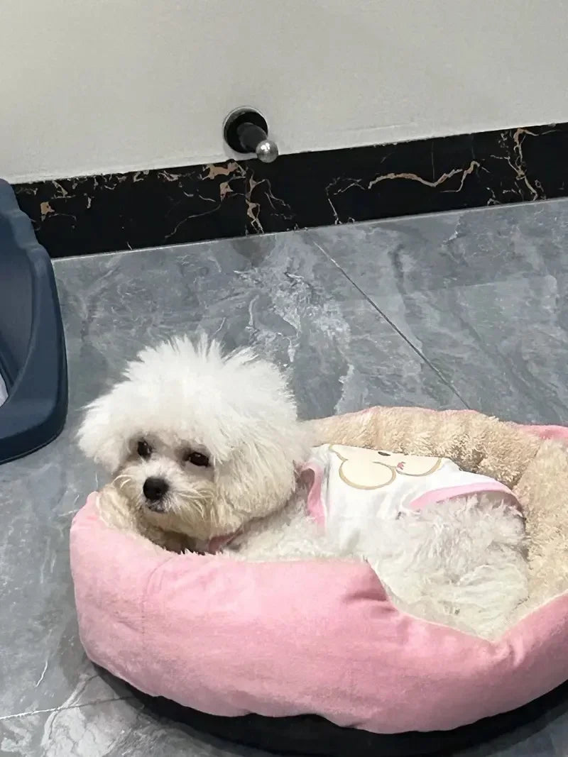 Caminha Pet Nuvem – Ninho Quentinho para Pets