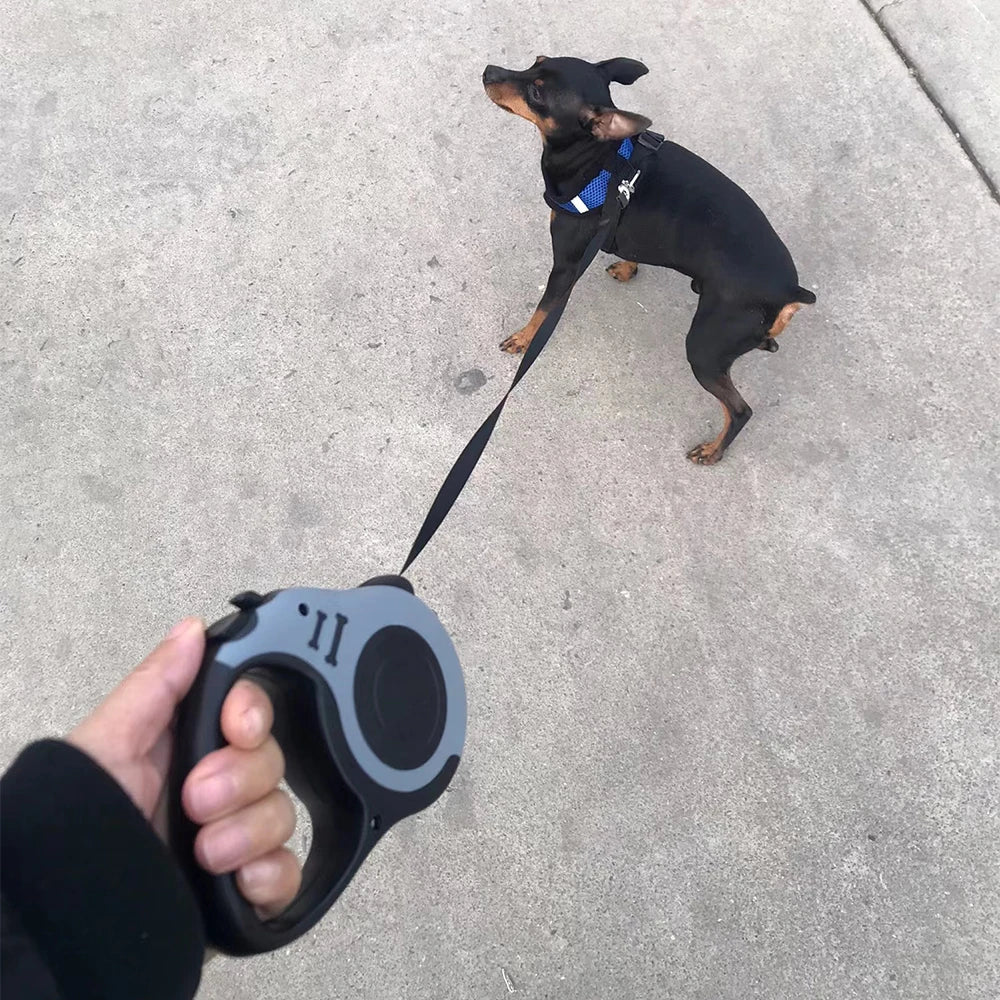 FlexiPet Retractable Leash
