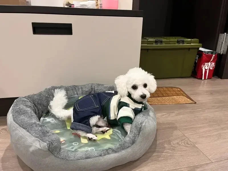 Caminha Pet Nuvem – Ninho Quentinho para Pets