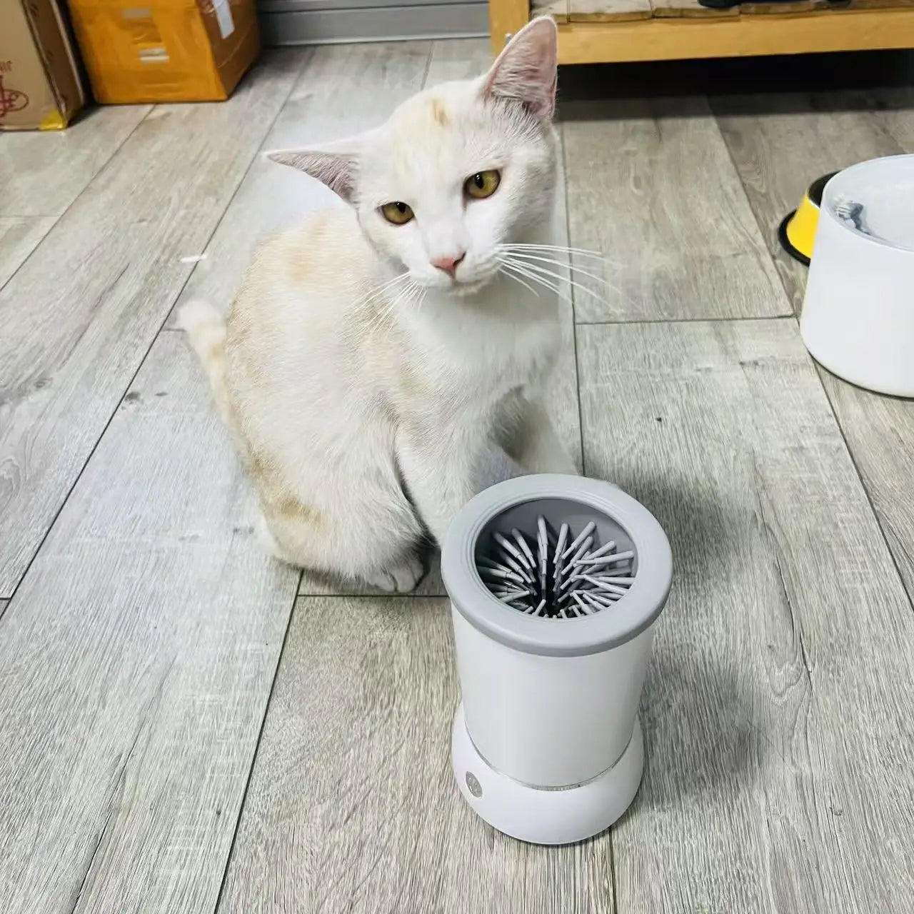 Lava Patinhas CleanPaw – Limpeza Automática para Pets