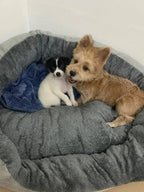Caminha Pet Nuvem – Ninho Quentinho para Pets